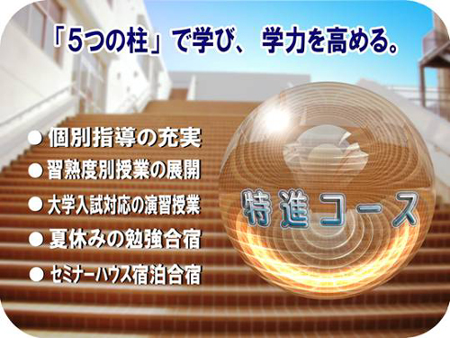 ���ʉȁu���i�R�[�X�v���E���E�L��������w�ւ̐i�w��^���ɍl����l��